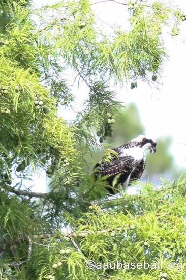 Grand Nationals 2014_102.jpg